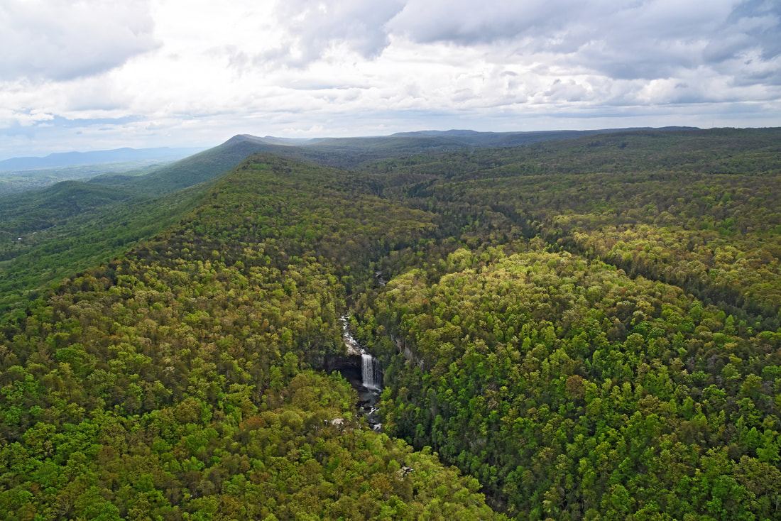 Aerial view of Lookout Mountain forest and the Rock Creek gorge